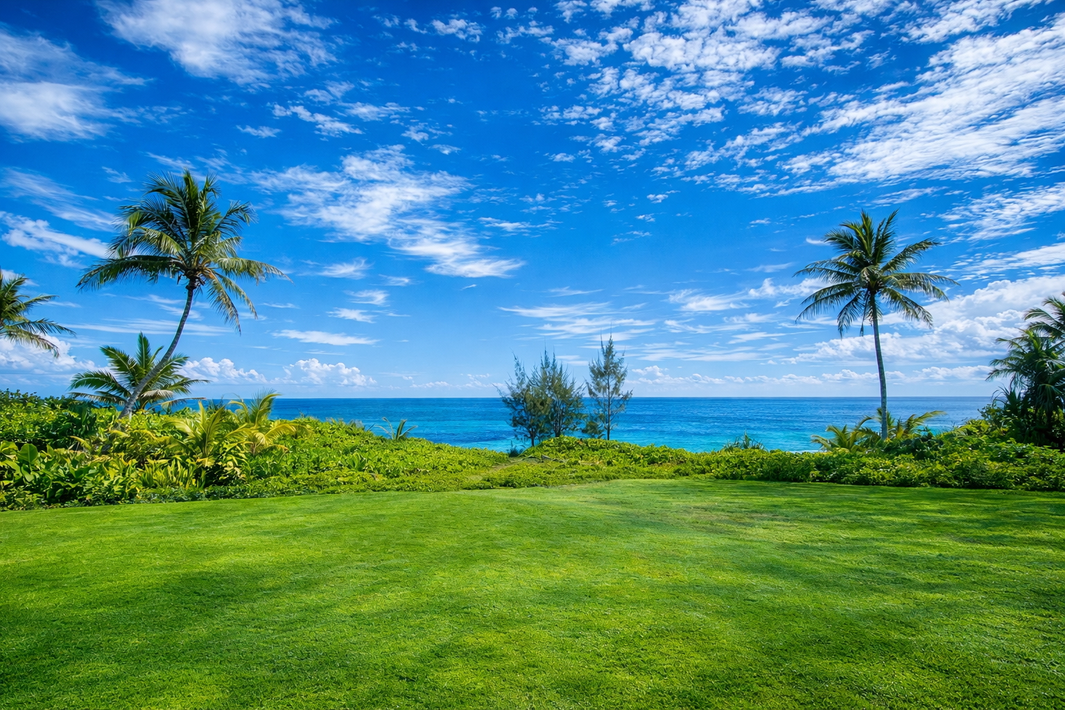 Lush oceanfront lawn with palm trees and turquoise Pacific views at Wild Blue Waters